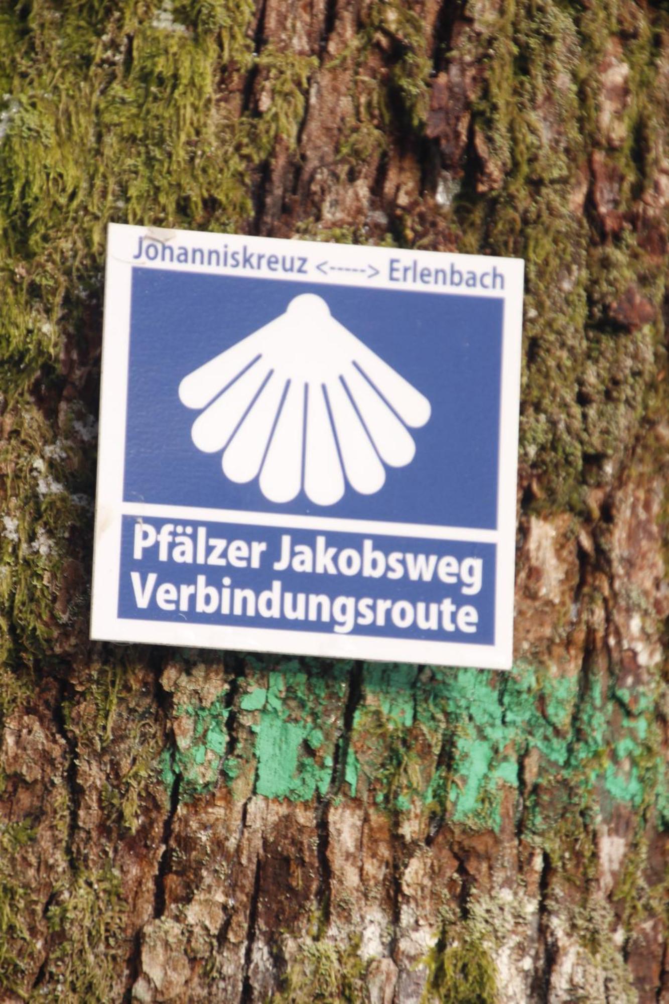 Apartmán Ferienwohung Am Felsenwanderweg Im Pfaelzerwald Rodalben Exteriér fotografie