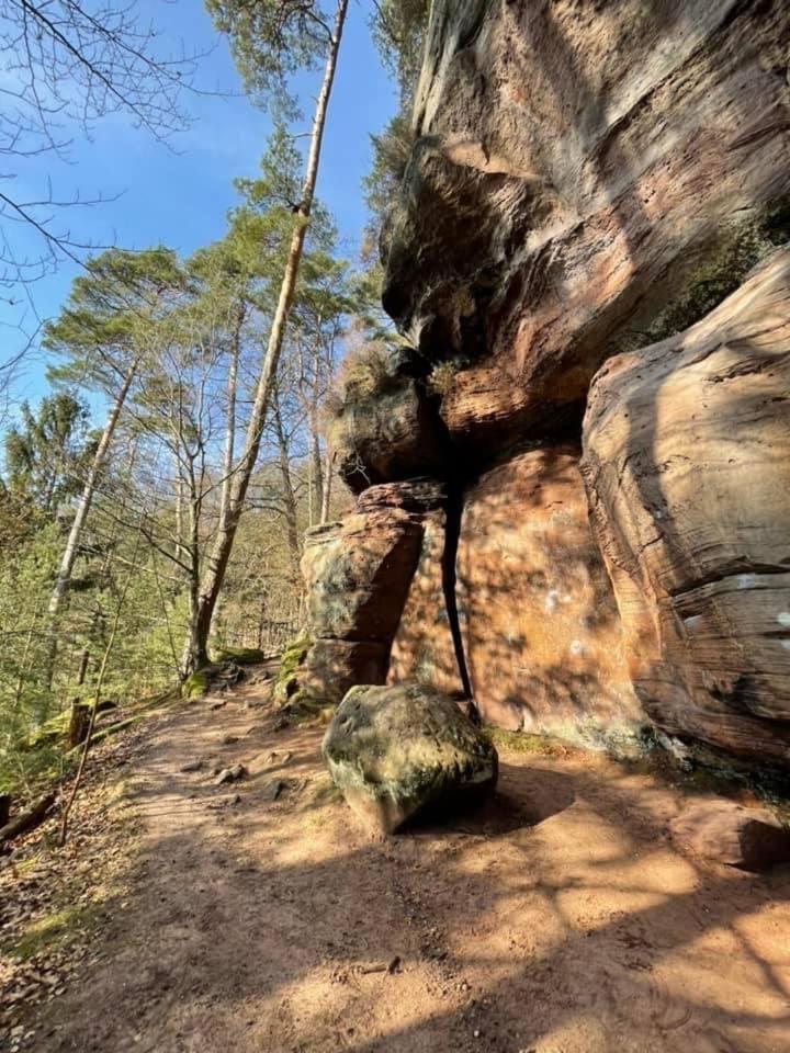 Apartmán Ferienwohung Am Felsenwanderweg Im Pfaelzerwald Rodalben Exteriér fotografie